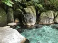 奥湯河原温泉 青巒荘（せいらんそう）の写真_359552