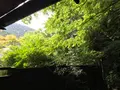 奥湯河原温泉 青巒荘（せいらんそう）の写真_359555