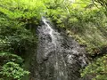 奥湯河原温泉 青巒荘（せいらんそう）の写真_359593
