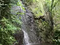 奥湯河原温泉 青巒荘（せいらんそう）の写真_359595