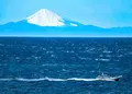 北条海岸の写真_359601