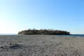 沖の島の写真_359603