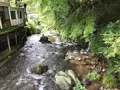 奥湯河原温泉 青巒荘（せいらんそう）の写真_359628