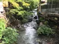 奥湯河原温泉 青巒荘（せいらんそう）の写真_359629