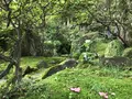 奥湯河原温泉 青巒荘（せいらんそう）の写真_359635