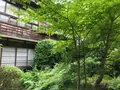 奥湯河原温泉 青巒荘（せいらんそう）の写真_359637