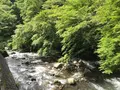大雄山最乗寺の写真_359665