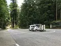 大雄山最乗寺の写真_359684