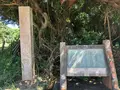 具志川城跡の写真_359689