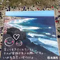 喜屋武岬の写真_359693