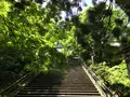 大雄山最乗寺の写真_359746