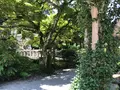 大雄山最乗寺の写真_359751