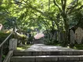 大雄山最乗寺の写真_359754