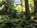 大雄山最乗寺の写真_359757