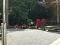 大雄山最乗寺の写真_359767