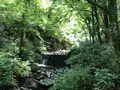大雄山最乗寺の写真_359777