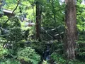 大雄山最乗寺の写真_359827