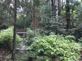 大雄山最乗寺の写真_359832