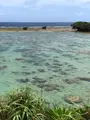ザネー浜の写真_359834