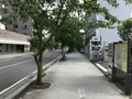 小田原城址公園の写真_359859