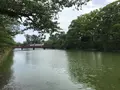 小田原城址公園の写真_359860