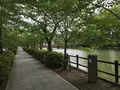 小田原城址公園の写真_359861