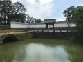 小田原城址公園の写真_359864