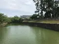 小田原城址公園の写真_359865