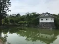 小田原城址公園の写真_359867