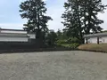 小田原城址公園の写真_359868
