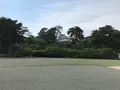 小田原城址公園の写真_359873