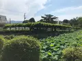 小田原城址公園の写真_359878
