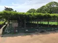 小田原城址公園の写真_359879