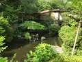小田原城址公園の写真_359887