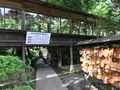 小田原城址公園の写真_359895