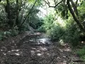 小田原城址公園の写真_359896