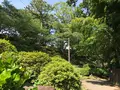小田原城址公園の写真_359897