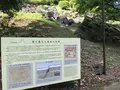 小田原城址公園の写真_359898