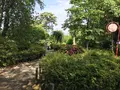 小田原城址公園の写真_359900