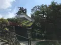 小田原城址公園の写真_359912