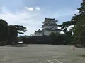 小田原城址公園の写真_359945