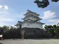 小田原城址公園の写真_359946