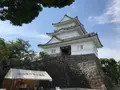 小田原城址公園の写真_359947