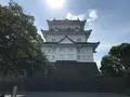 小田原城址公園の写真_359948