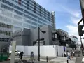 小田原城址公園の写真_359951