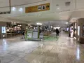 小田原城址公園の写真_359956