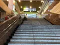 小田原城址公園の写真_359958