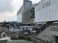小田原城址公園の写真_359959