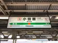 小田原城址公園の写真_359965