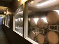 広島三次ワイナリーの写真_360448